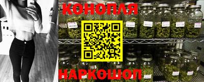 прущие крисы Донской